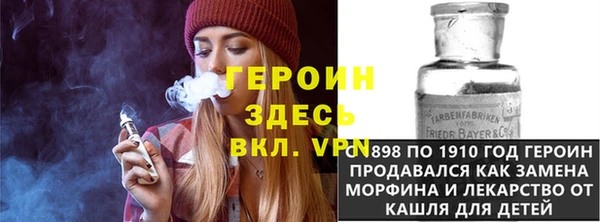 прущие грибы Корсаков