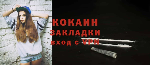 мдпв Козельск