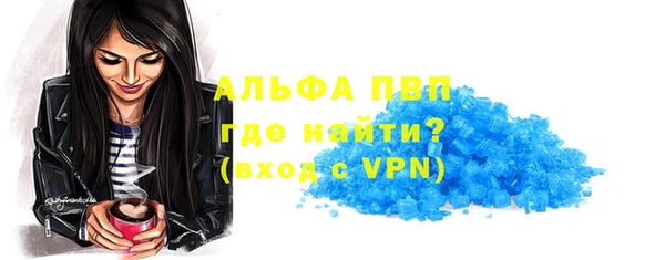 прущие грибы Корсаков