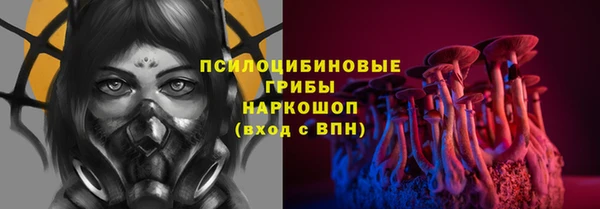 прущий лед Костерёво