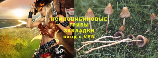 прущие грибы Корсаков
