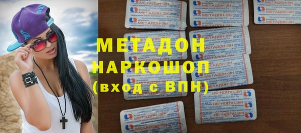 прущие грибы Корсаков