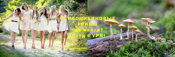 мдпв Козельск