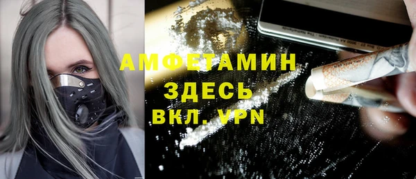 прущие грибы Корсаков
