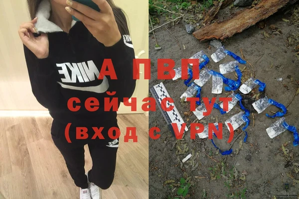 прущие грибы Корсаков