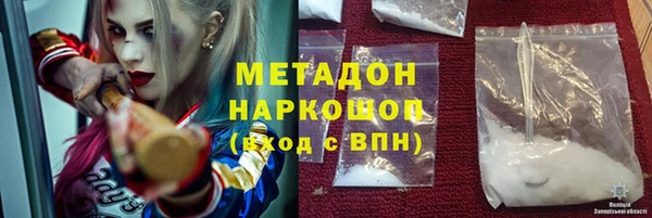 прущие грибы Корсаков